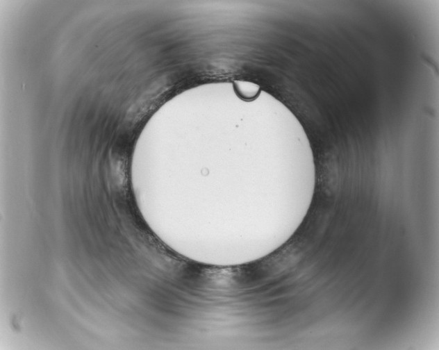 X0000103930131200810031308