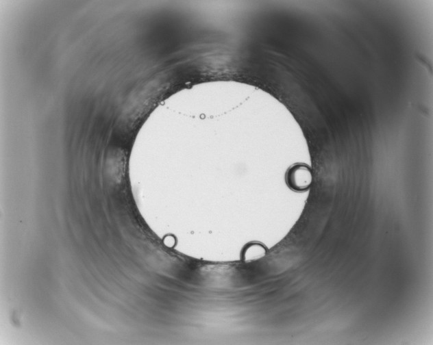 X0000103930133200810031308