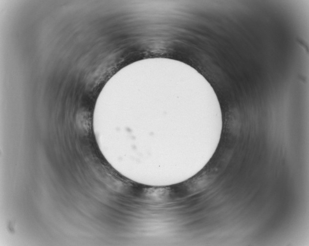 X0000103930135200810031308