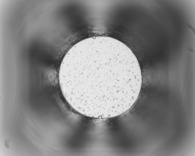 X0000103930136200810031308