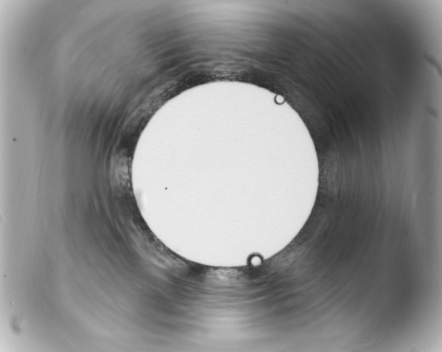 X0000103930137200810031308