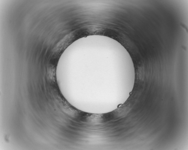 X0000103930138200810031308