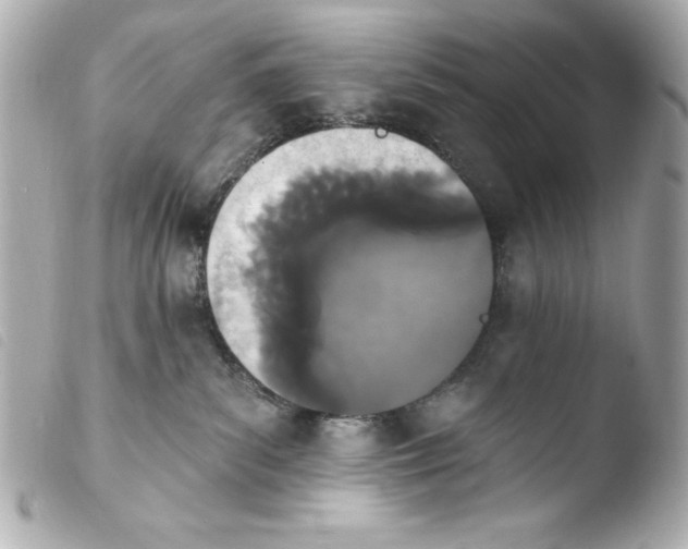 X0000103930139200810031308