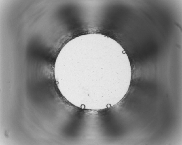 X0000103930140200810031308