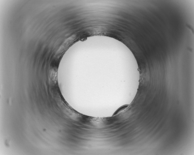 X0000103930142200810031308