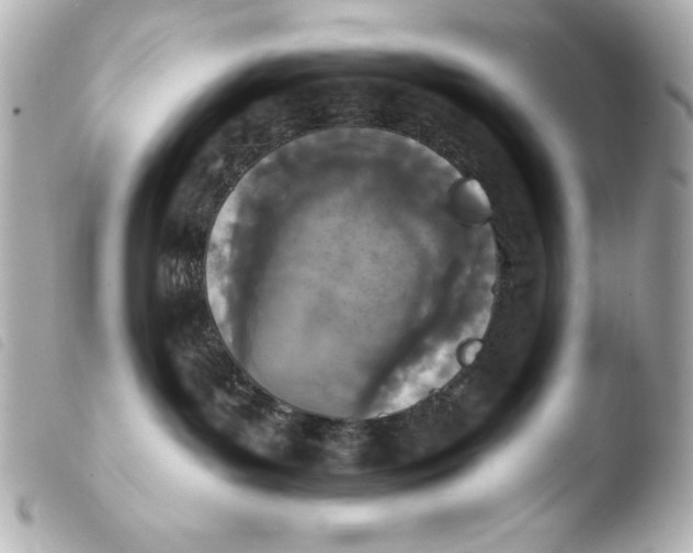 X0000103930143200810031308