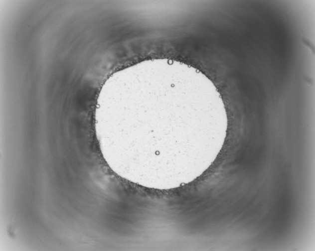 X0000103930144200810031308