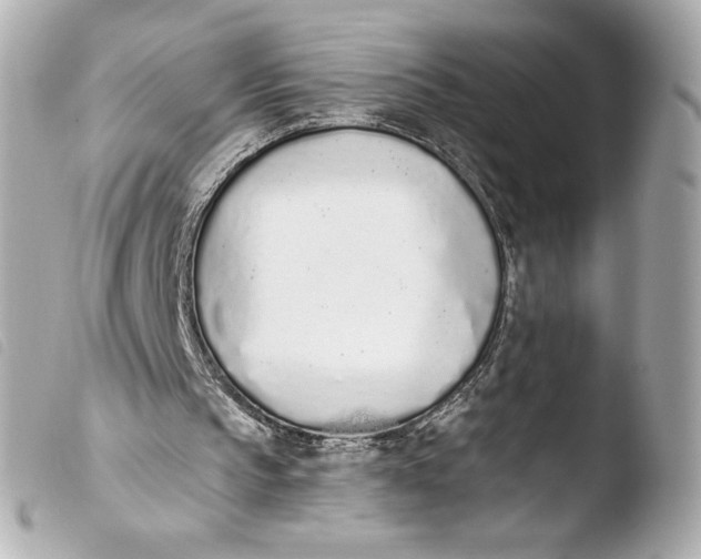 X0000103930145200810031307