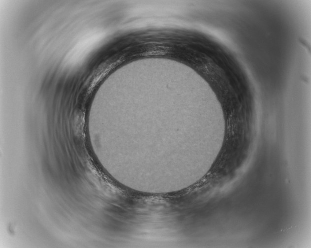 X0000103930146200810031307