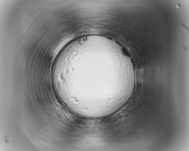 X0000103930147200810031307