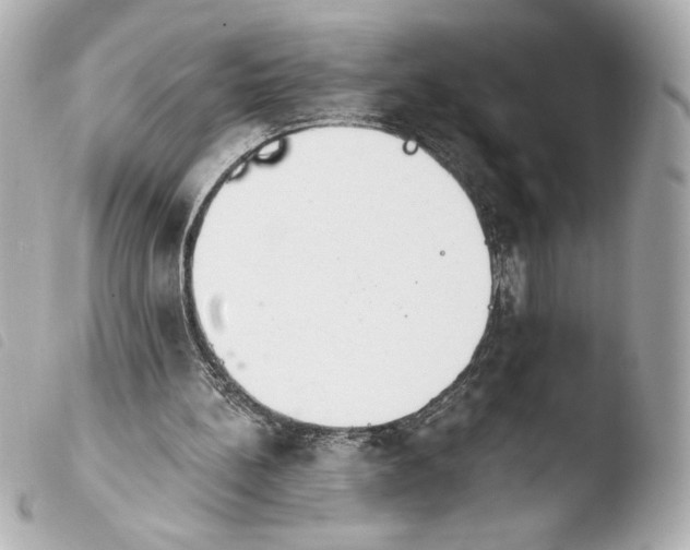 X0000103930148200810031307