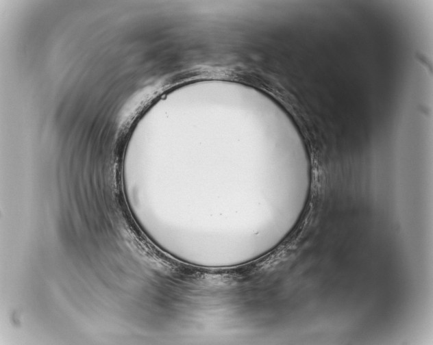 X0000103930149200810031307