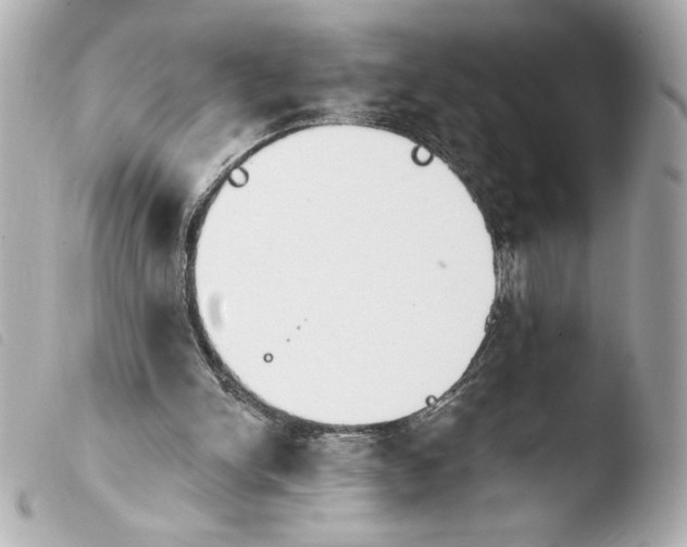 X0000103930150200810031307