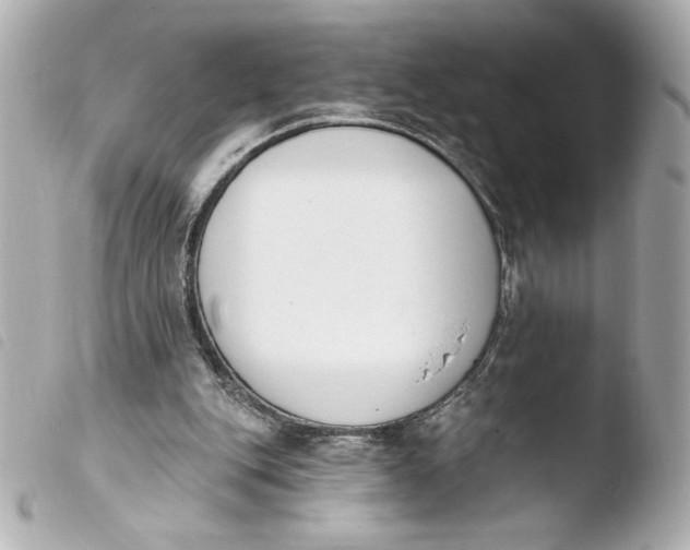 X0000103930151200810031307