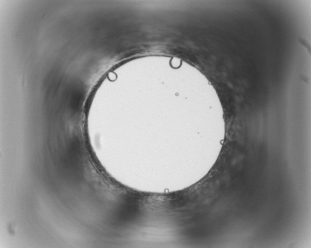 X0000103930152200810031307