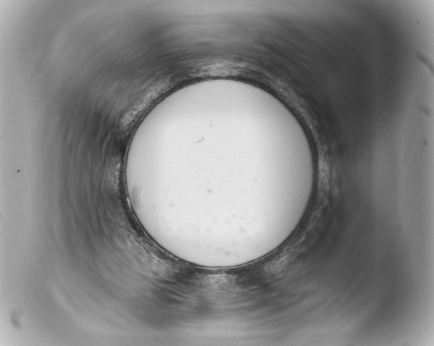 X0000103930153200810031307