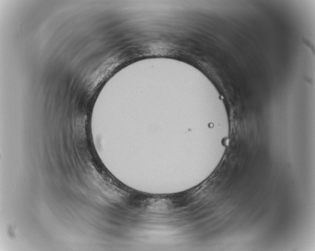 X0000103930154200810031307