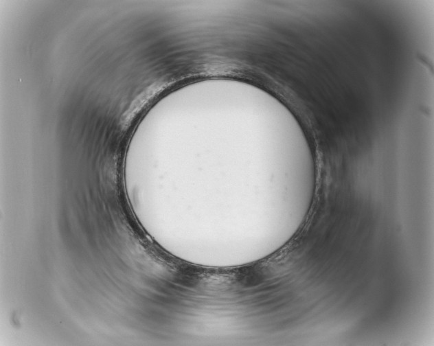 X0000103930155200810031307