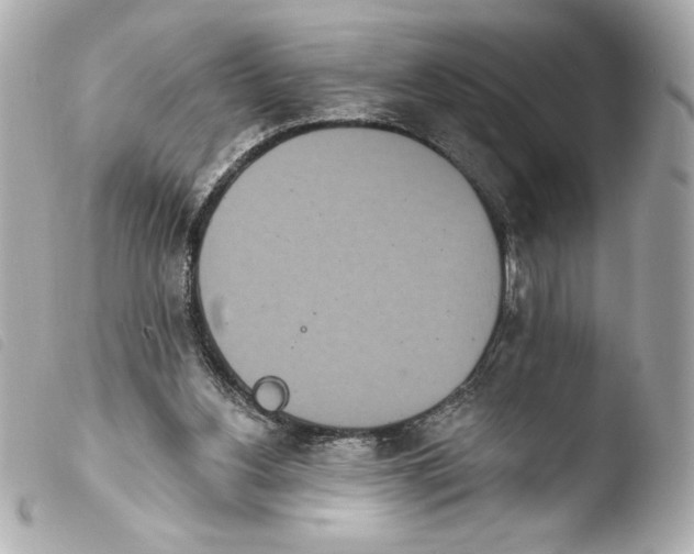 X0000103930156200810031307