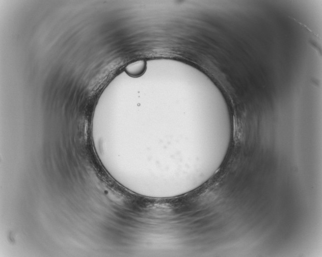 X0000103930157200810031307