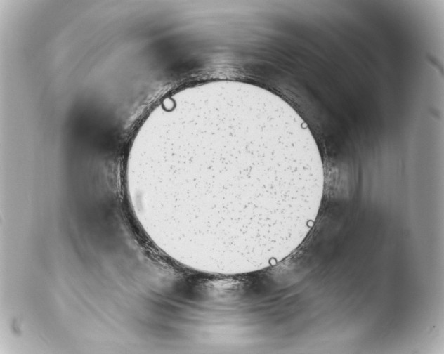 X0000103930158200810031307