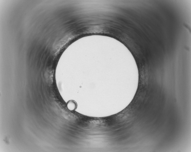 X0000103930160200810031307