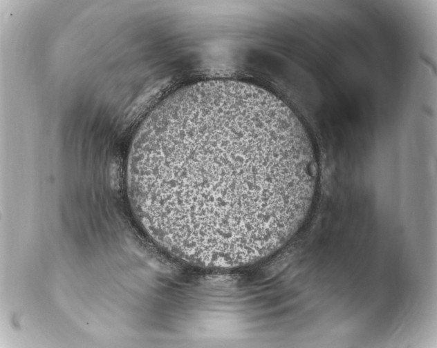 X0000103930161200810031307