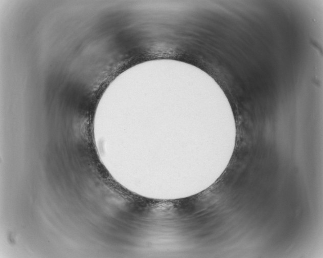 X0000103930162200810031307