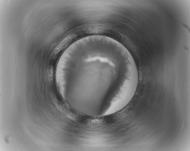 X0000103930163200810031307