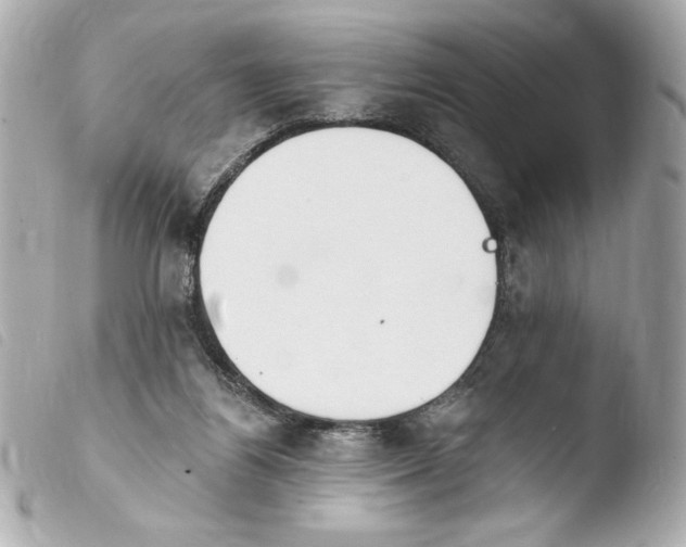 X0000103930164200810031307