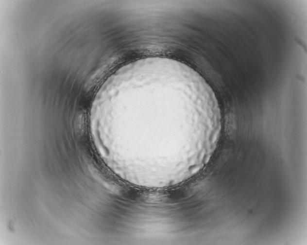 X0000103930165200810031307