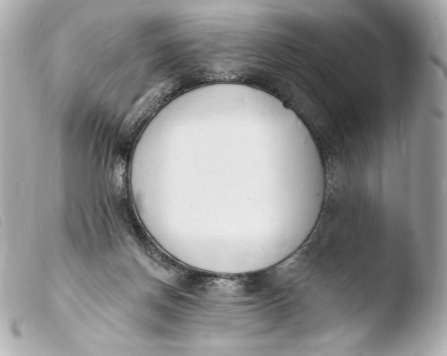 X0000103930166200810031307