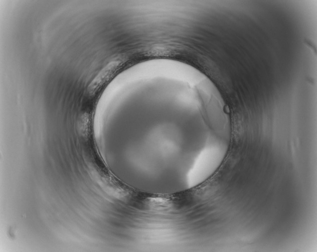 X0000103930167200810031307