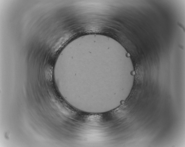 X0000103930168200810031307