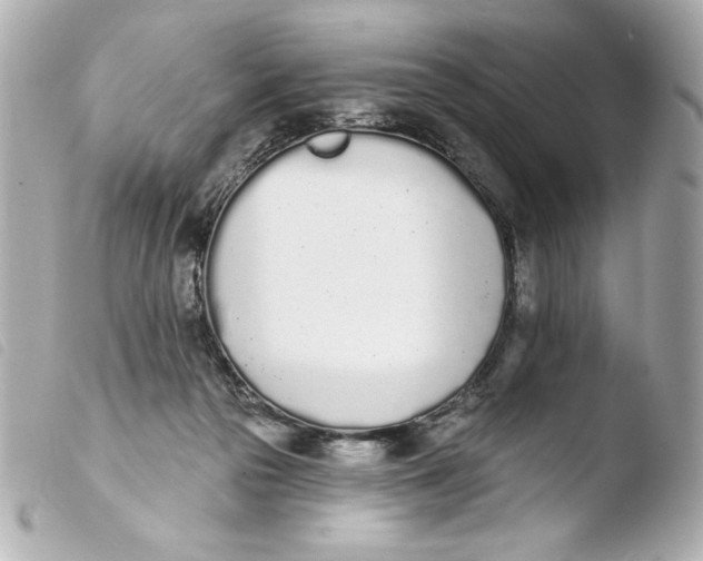 X0000103930169200810031307