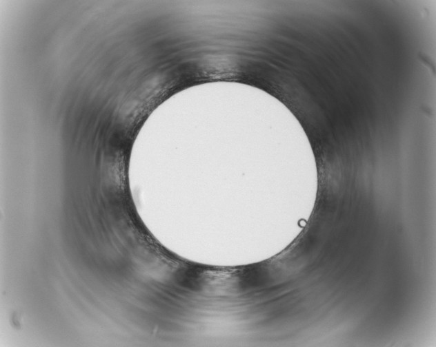 X0000103930170200810031307