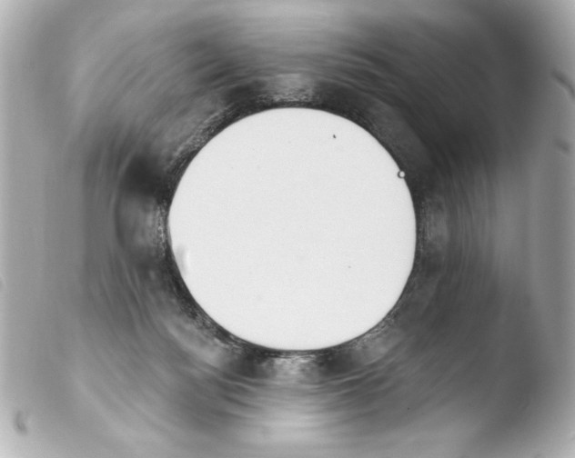 X0000103930172200810031307