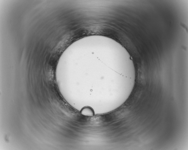 X0000103930173200810031307