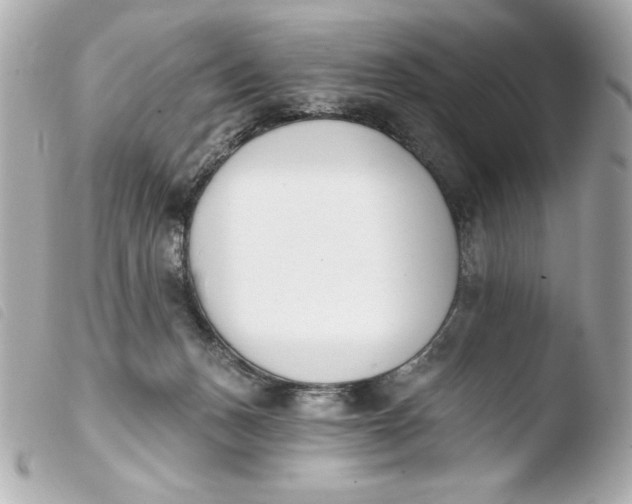 X0000103930175200810031307