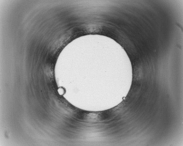 X0000103930176200810031308