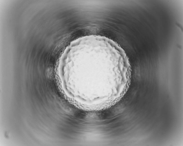 X0000103930177200810031308