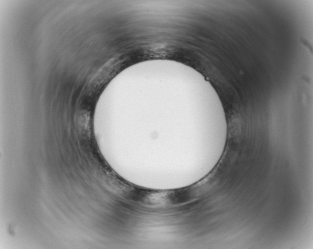 X0000103930178200810031308