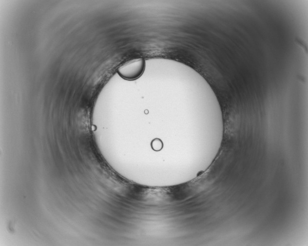 X0000103930179200810031308