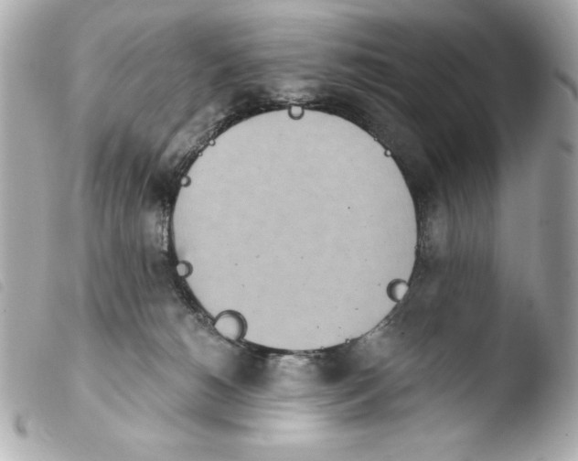 X0000103930180200810031308