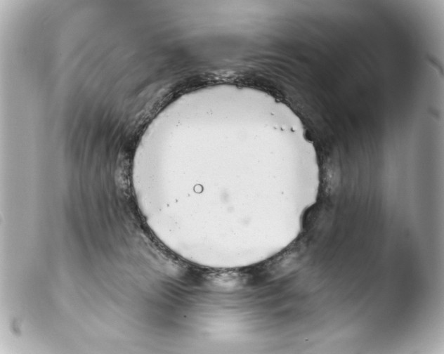 X0000103930181200810031308