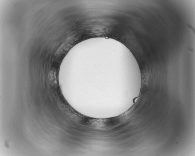 X0000103930182200810031308