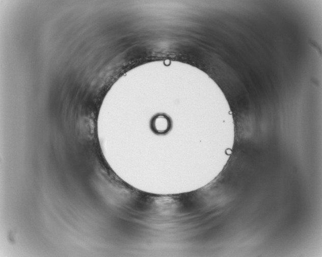 X0000103930183200810031308