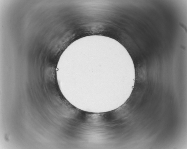 X0000103930184200810031308