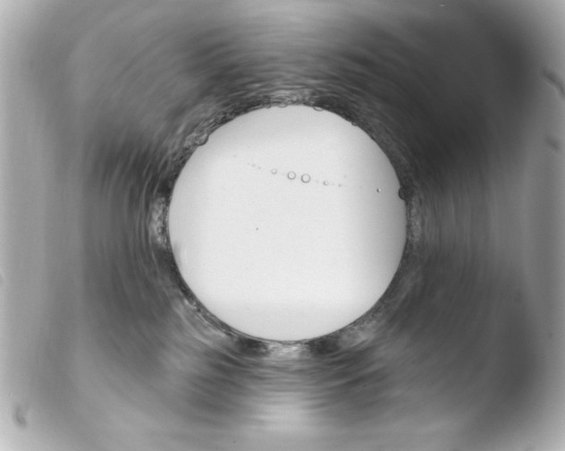 X0000103930185200810031308