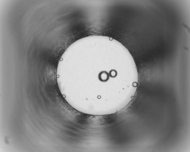 X0000103930186200810031308